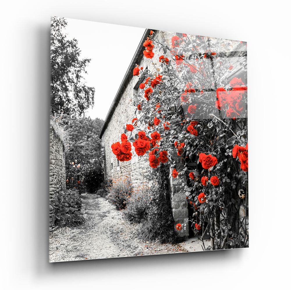 Kırmızı Güller Cam Tablo | Insigne Art | Üstün Kalite