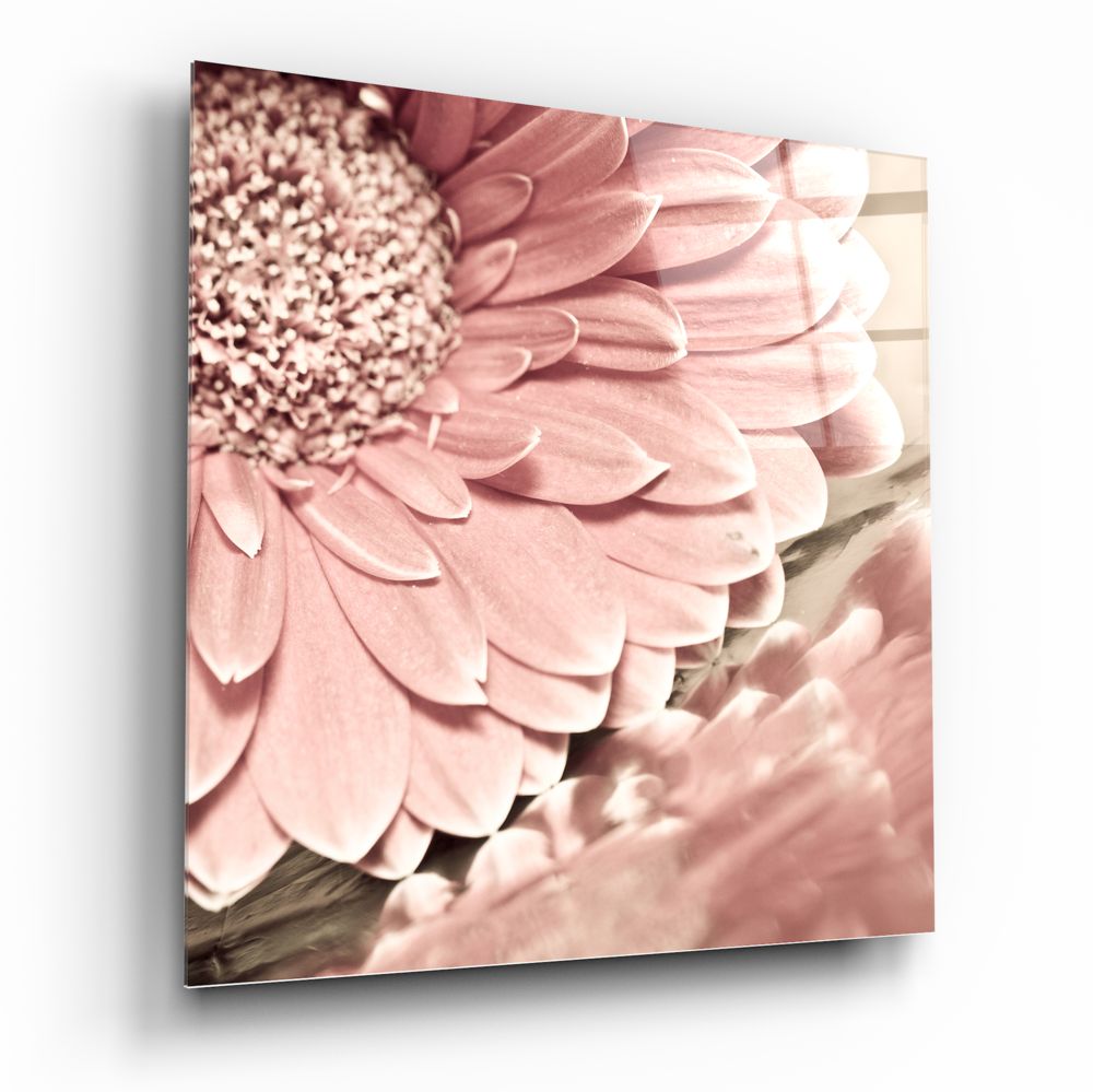 Pembe Çiçek Cam Tablo | Insigne Art | Üstün Kalite