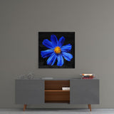 Mavi Çiçek Cam Tablo | Insigne Art | Üstün Kalite