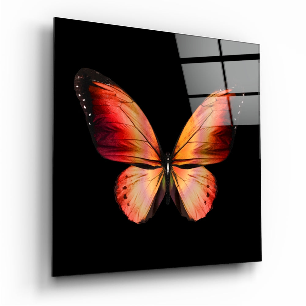 Kelebeğin Zarafeti Cam Tablo | Insigne Art | Üstün Kalite